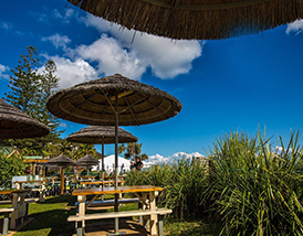 ABUIABAEGAAg9r6algYo4a6HtAIwkgI41gE